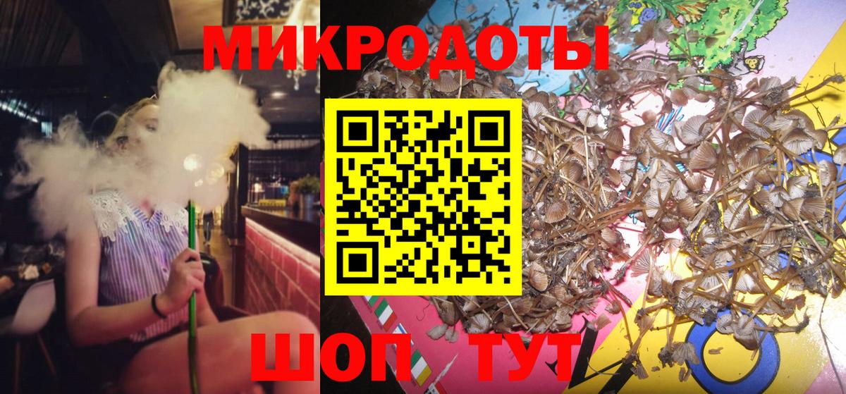 Псилоцибиновые грибы Psilocybe Богородск